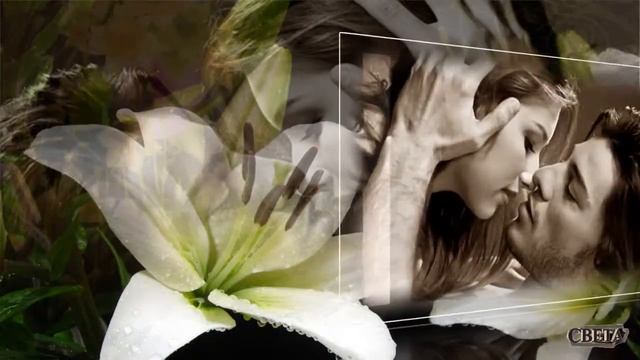 Ласковая лилия группа. Слушать я дарю тебе лилии. Слушать я дарю тебе лилии. Популярная песня лилии. Слушать я дарю тебе лилии.