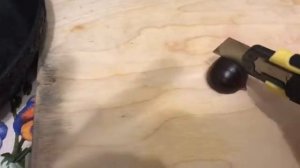 Готовим КАШТАН правильно