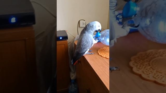 трудное детство, деревянные игрушки...