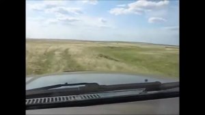 СТЕПИ КАЗАХСТАНА