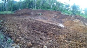 Копка прудов экскаватором