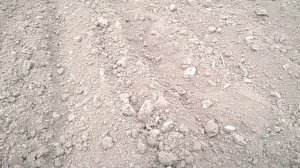 Настройка картофелесажалки