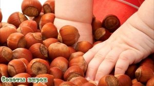 ➤ Какие орехи полезны для здоровья ➤