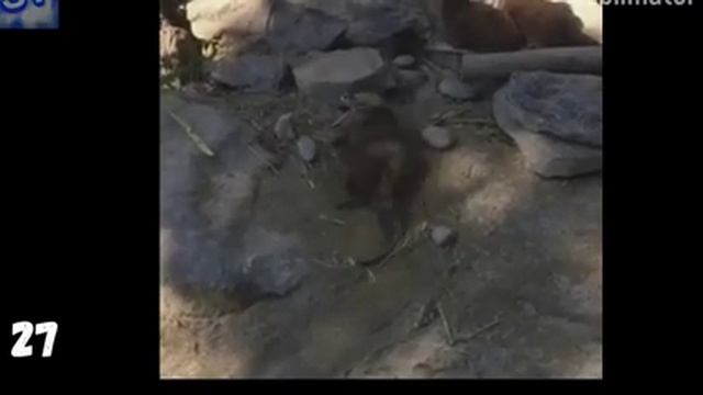 50 смешных и нелепых моментов с озвучкой. Смотреть Всем! смотреть онлайн