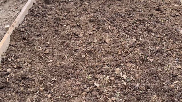 Редиска егү
Как сеять редиску первый раз.
#выращиваниередиса