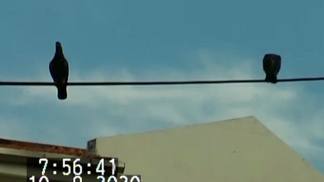 Panasonic NV-GS150 miniDV in 2020 video. Captured with EasyCap USB 2.0. Upscale 1080p смотреть онлайн