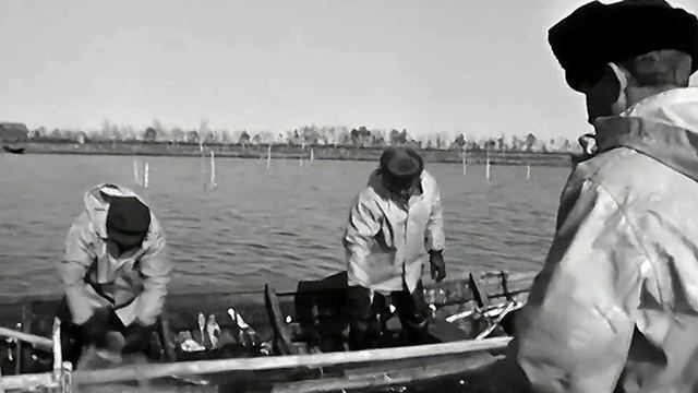 1974 год. Тобольский район. Рыбаки тобольского рыбозавода на промысле.