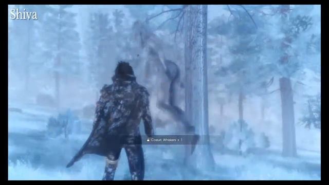 Final Fantasy XV : Summons