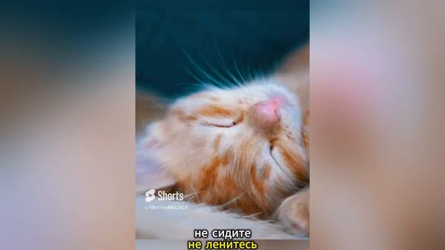 Как изменить свою жизнь....как изменить свою жизнь к лучшему №2#будьтесчастливы #успех #саморазвитие