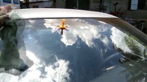 DIY Windshield Crack Repair