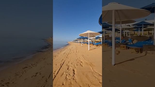Albatros Palace Sharm El Sheikh Egypt обзор отеля 10.05.2023 смотреть онлайн