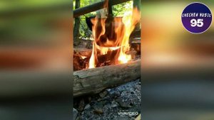 Валид Дагаев БЕЗ СЛЕЗ НЕВОЗМОЖНО СЛУШАТЬ ЭТУ ПЕСНЮ НАНА