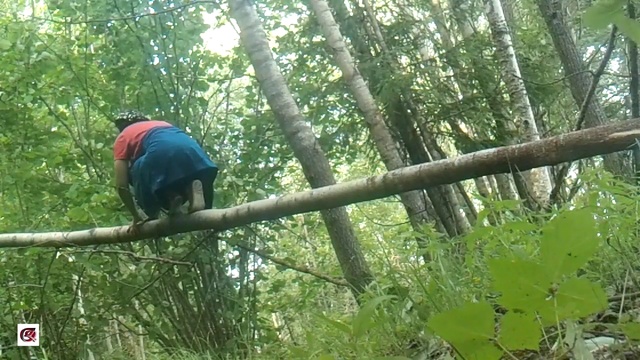 лес, отдых, туризм смотреть онлайн