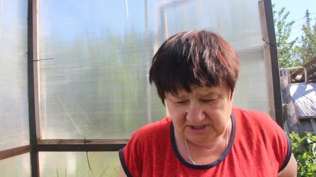 Юлия Миняева: Приступили к сбору урожая огурцов! Также важное про малину.