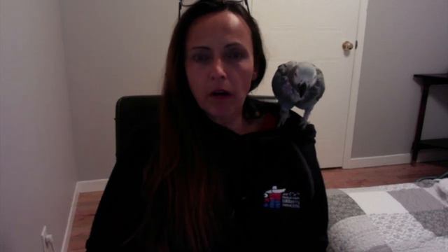 Facing the storm while waking up to your inner power смотреть онлайн