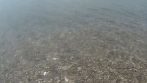 Отдых на Чёрном море. Бухта Инал. База отдыха "Анастасия"