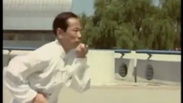 100 лучших мастеров ушу Китая  Ся Бохуа синъицюань