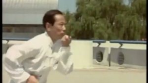 100 лучших мастеров ушу Китая  Ся Бохуа синъицюань