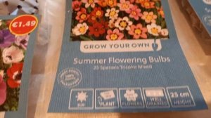 Мои покупки .Что посадить в саду чтобы обеспечить цветение  с мая по октябрь.