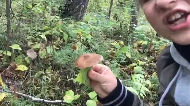 Влог#2:последние выходные лета,собираем грибы?? смотреть онлайн