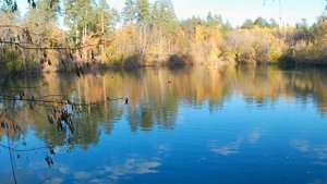 Безымянное озеро на Баныкина, Старый город, Тольятти