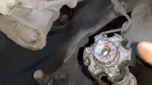 Нужно менять ШРУС ??? если порвался пыльник. ответ очевиден.