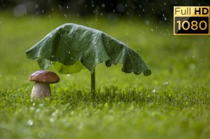 ШУМ ДОЖДЯ для Крепкого здорового сна и Глубокого Релакса