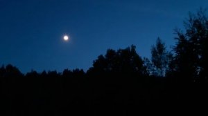 Пение Птиц Ночные Звуки Природы Расслабление Успокоение Быстрый Сон