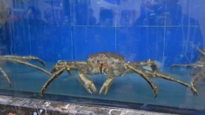Цена на краба в Китае ))) Камчатский краб из России