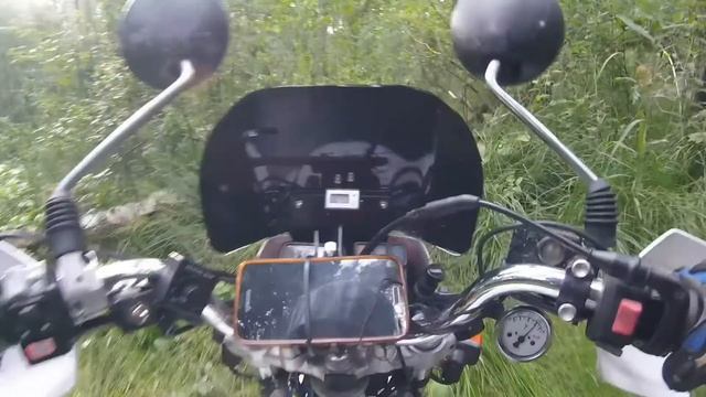 В лесу Беларуси. смотреть онлайн