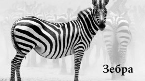 Как говорят животные. Развивающее видео для детей. Животные Африки 2. Голоса животных