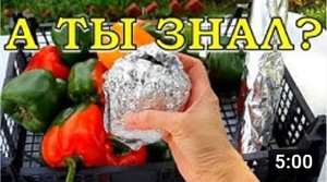 6 способов КАК сохранить сладкий перец на зиму???