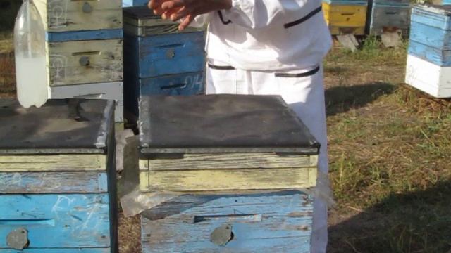 Осенняя обработка Варроа 2014 смотреть онлайн