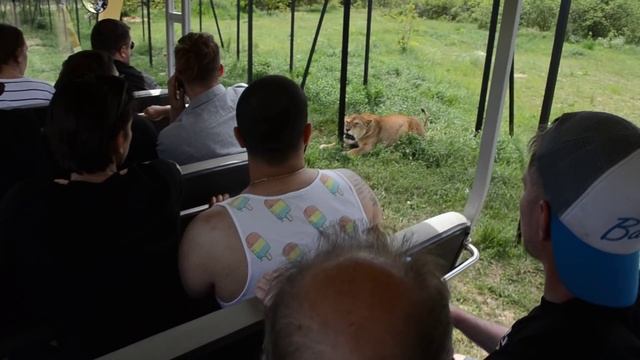 Ребята не могут поверить в то , что видят :)