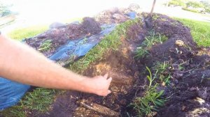 French Drain Tip, How to Remove Tree Roots,