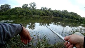 Уклейка на каждом забросе, ловля махом на реке!!!!