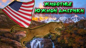 Животные Южной Америки
