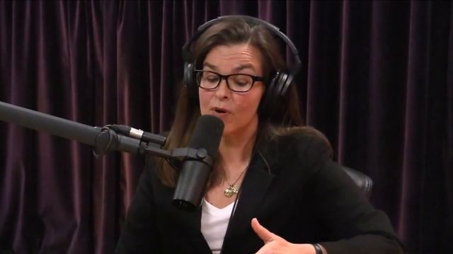 Joe Rogan | Living a Life of Quiet Desperation смотреть онлайн