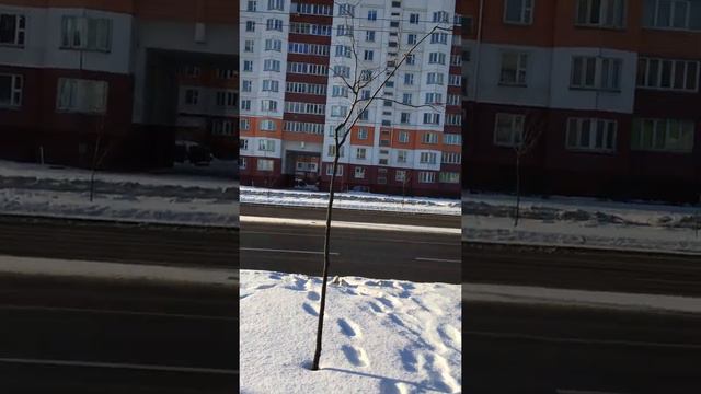 Бабушкин синдром. Светлана Юрьевна смотреть онлайн