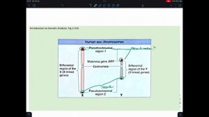 CSULB: Biol 370 Spring 2023 - Week 6 Lecture 2