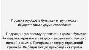Огурцы в бутылках выращивание.Огурцы в пластиковой бутылке выращивание