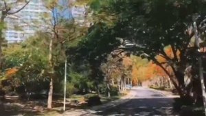 Аренда скутера в Китае. ? Хайнань. Мопеды и краткая информация.?