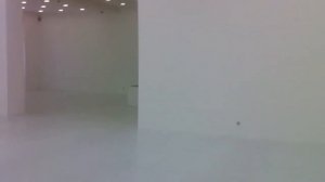 Ryoji Ikeda, db, Hamburger Bahnhof, walk through white room