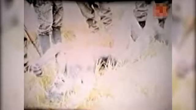 ОБОРОТНИ ЕСТЬ! ВОТ ОНИ СНЯТЫЕ НА КАМЕРУ!!!