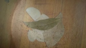 баклажаны как грибочки