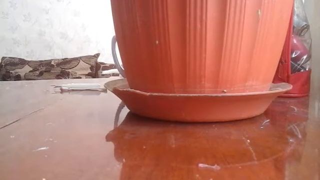 ооак на куклу лол чеширский кот смотреть онлайн