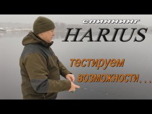 HARIUS - тестируем возможности...