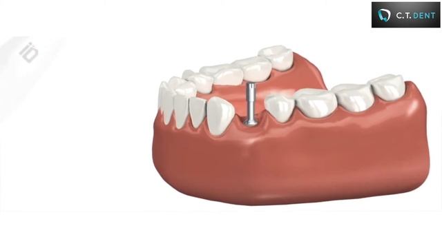 Penguin RFA смотреть онлайн