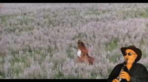 Люме соро  Лаутары   ARTURO