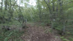 Кеслерский лес ┃Trail Building ┃Новая трасса ┃Шашлык